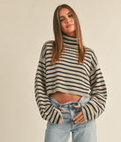 Stripe Turtle Neck Crop Sweater Top